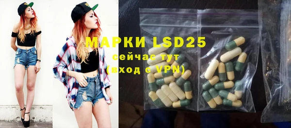 PSILOCYBIN Алзамай
