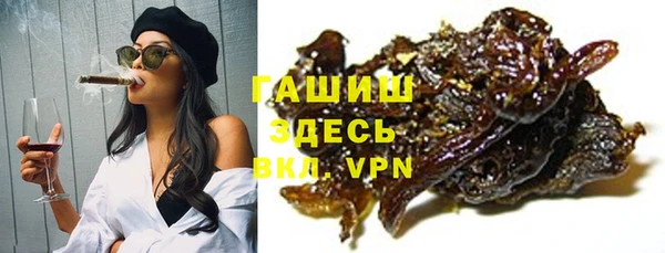 PSILOCYBIN Алзамай